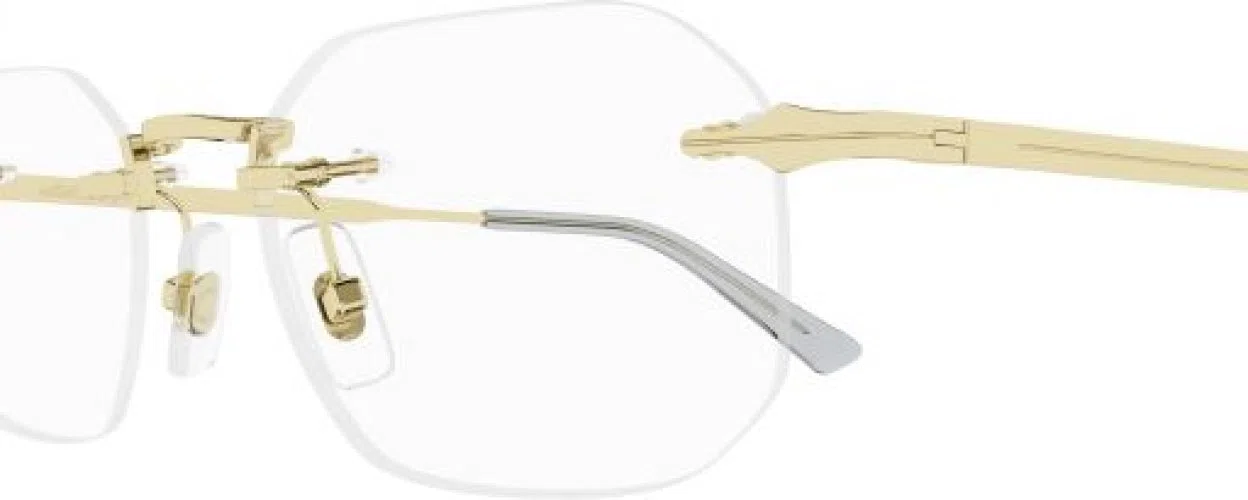 Montblanc MB0307O Eyeglasses - view 6